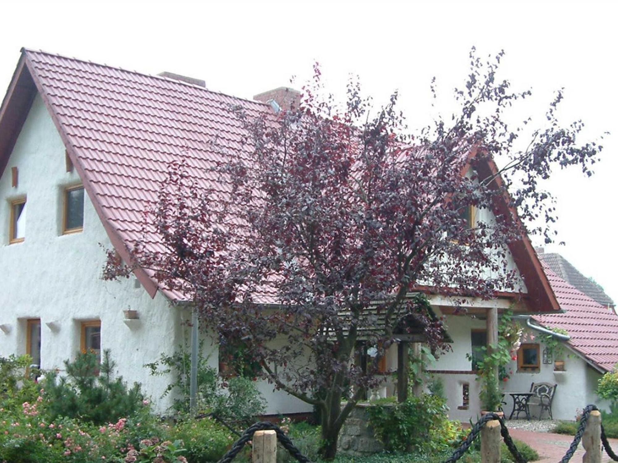 شقة Haus Jasmin Bodstedt المظهر الخارجي الصورة